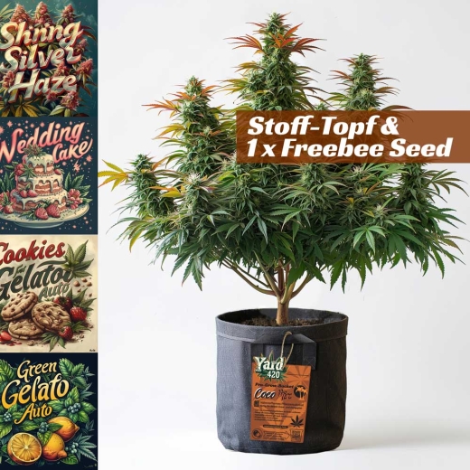 Grow Pot Coco Mix